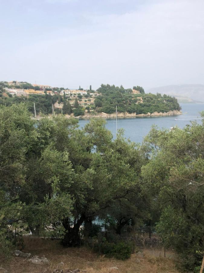 Villa Nena - Studio Suites Kalami  Bagian luar foto